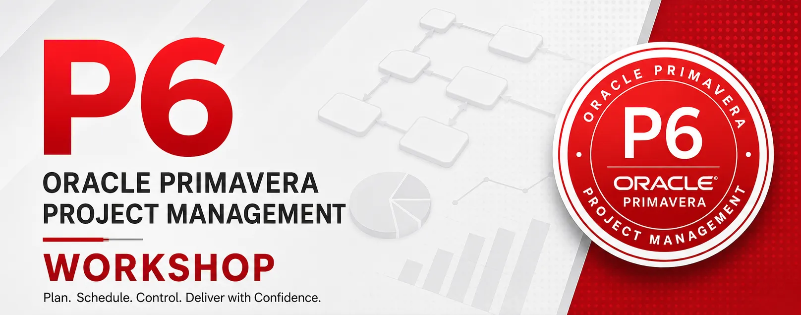 PRIMAVERA P6 Course ( Planning + Controling
